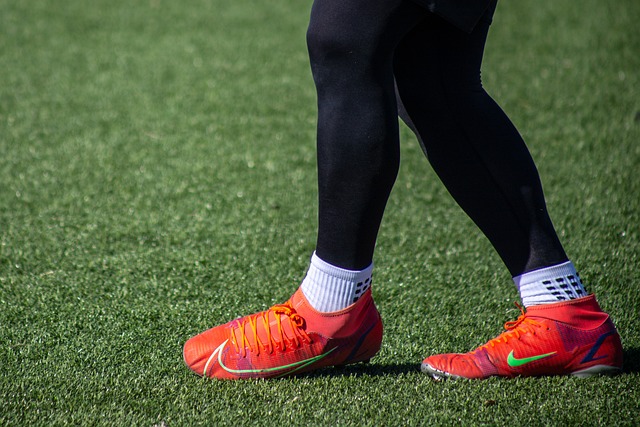 家庭共同的 家庭共同的