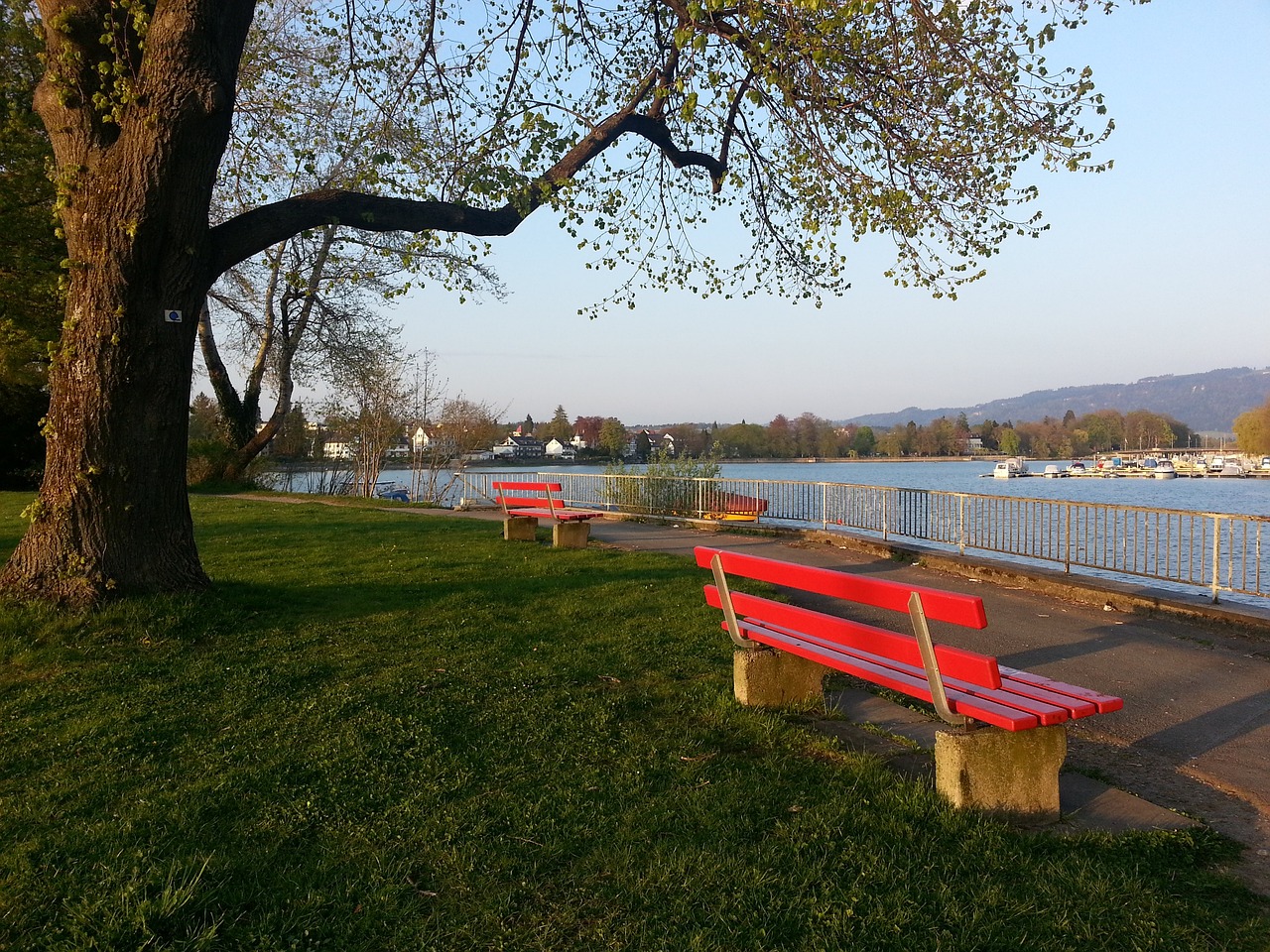 廷队走向胜 廷队走向胜