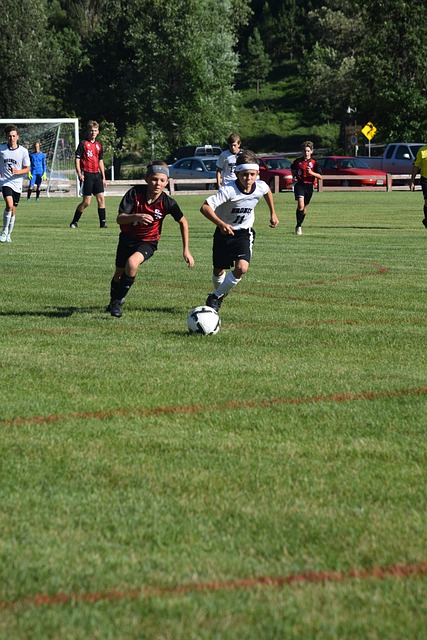 当地的体育 当地的体育