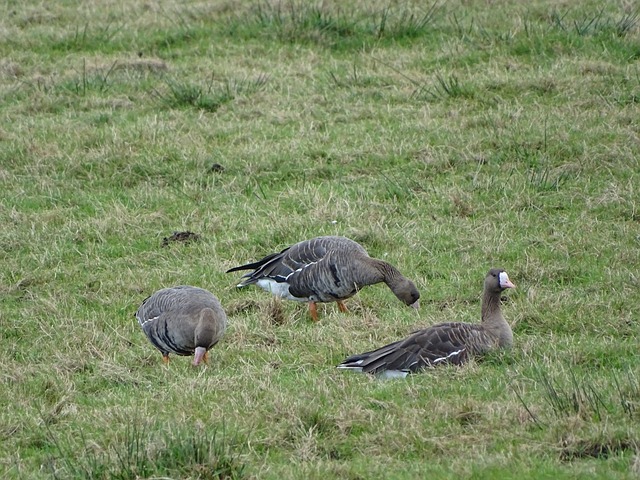 了宝贵的积 了宝贵的积